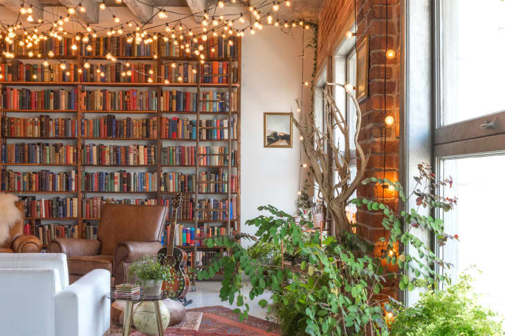 Fairy lights hot sale for bookshelf